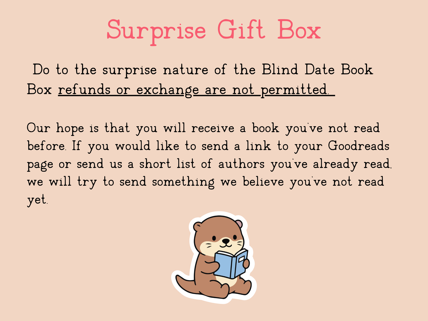 Deluxe Blind Date With a Book Box - Beach Reads Edition